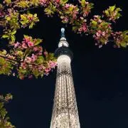 美容科専売コスメの画像