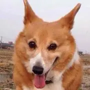 ひろ