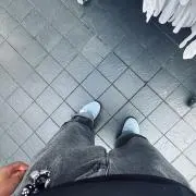 鳥