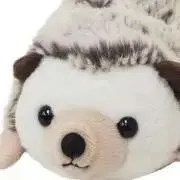 misaの画像