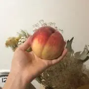s.の画像