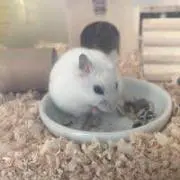 こういちの画像