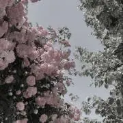 いよい⚠︎プロフ必読