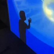 ずっきーにの画像