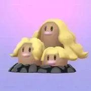 即購入OK✨の画像