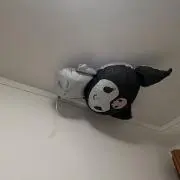 ℳの画像