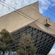 おまめ1982
