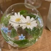 たまごの画像