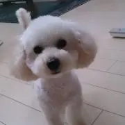 みぃ