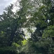 misaki__の画像