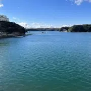 Nobu iの画像