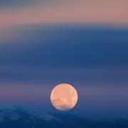 みどりの画像