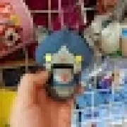 コロ助