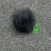 たろうの画像