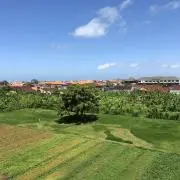kenanganの画像