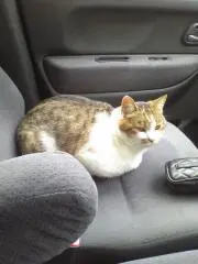 めぐみ