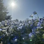 yuchan☆の画像