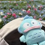 misaililの画像