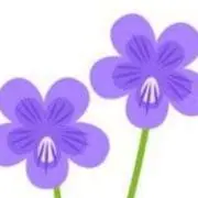すみれ