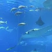 ののの画像