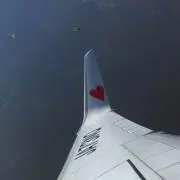 腹ペコごん太の画像