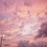 ななの画像
