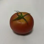 ぴったりトマトの画像