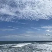 39の画像