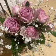 そーのん