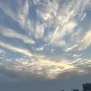 aaaaaki0209の画像