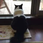 まりまり