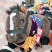 のぶお