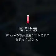 ブンブンの画像