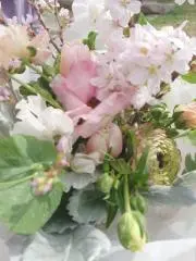 chimoの画像