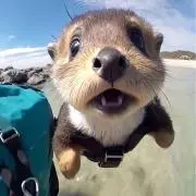 たくたんの画像