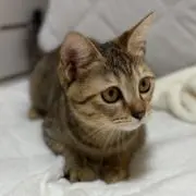 あり♡値下げ交渉OK希望価格を提示下さいの画像