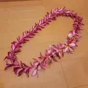 プルメリアガーデンの画像