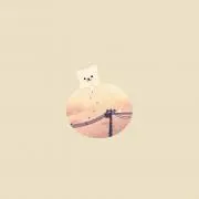 10の画像