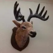 SK8の画像