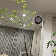 aas★の画像