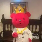 クマの画像