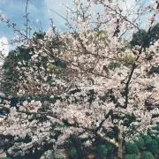 mmm28✱購入前プロフ必読✱