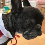 ともこの画像