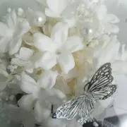 もも✩⃛⋆プロフ確認よろしくお願いしますの画像