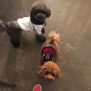 ぽっちゃん