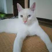 かんちゃん