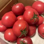 きゅーぴー