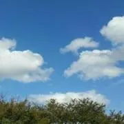 yokoの画像