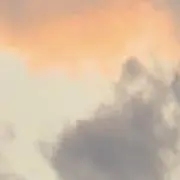 Shio【8月3日〜16日発送不可⚠️】の画像