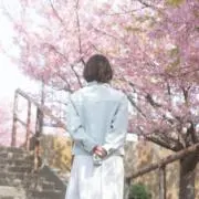 のし  即購入OKですの画像